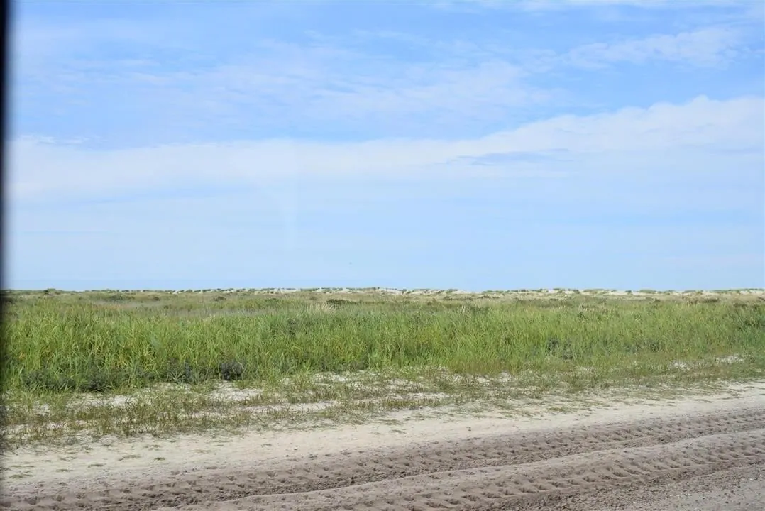 G22.2 grenen and the sandormen sat 22 jul (5)